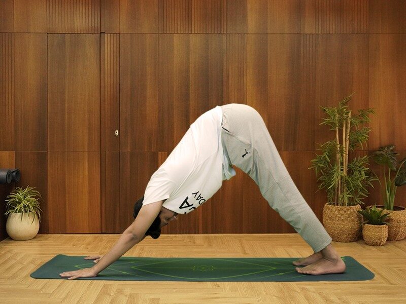 yoga asanas for flexibility