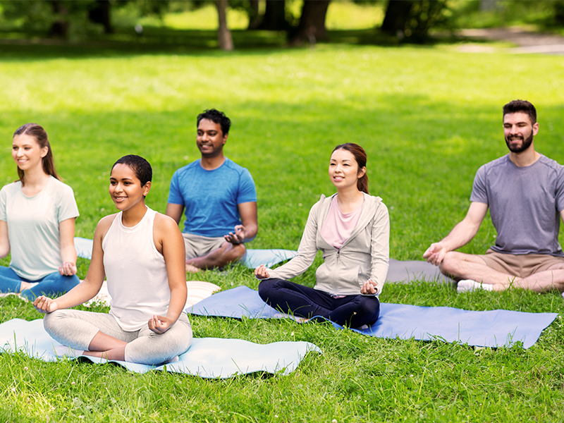 International Yoga Day 2025: A Global Pause to Reconnect 2 History of International Yoga Day