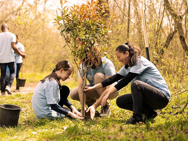 International Yoga Day 2025: A Global Pause to Reconnect 3 Theme for International Yoga Day 2025