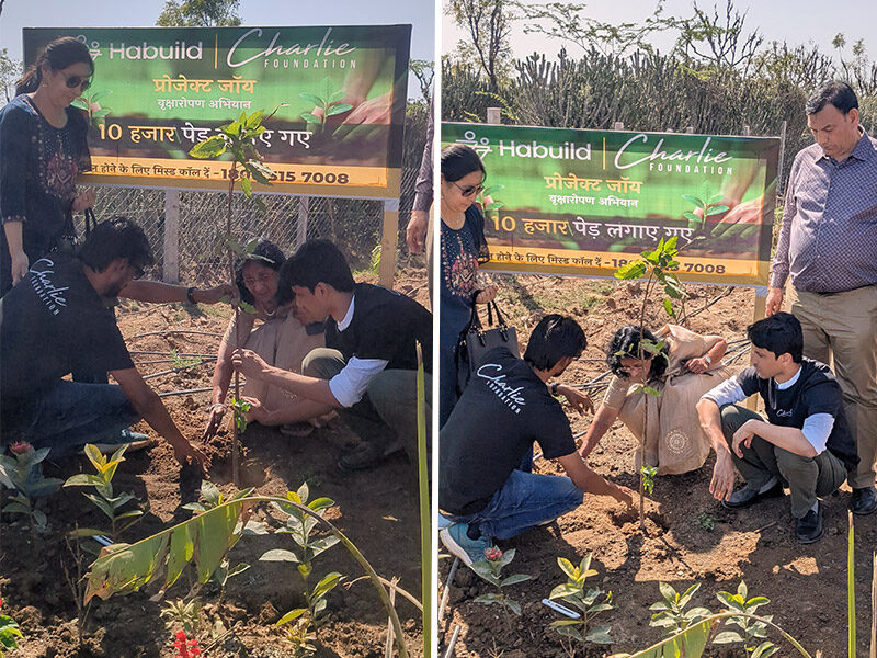 From Movement to Mother Earth: How Habuild and Charlie Foundation Are Nurturing Mindful Change 1 Img 1 Tree plantation Blog