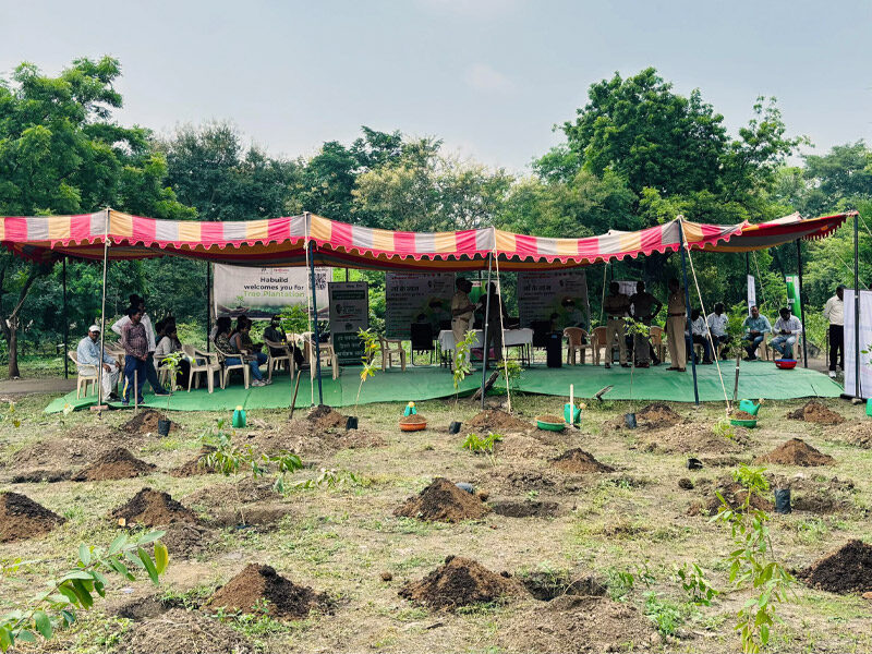 From Movement to Mother Earth: How Habuild and Charlie Foundation Are Nurturing Mindful Change 2 Img 3 Tree plantation Blog