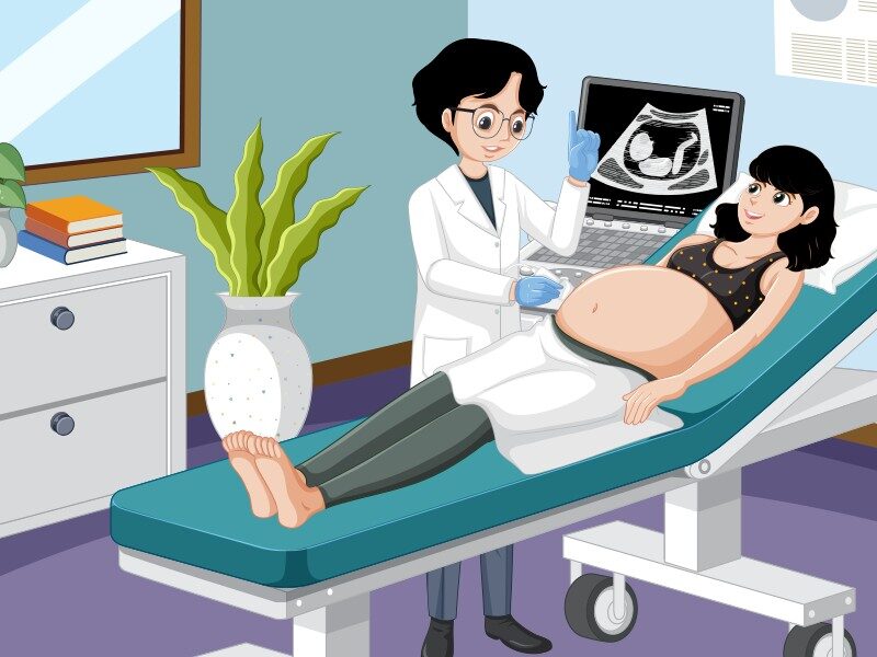 Essential Health Screenings for Women 3 Scientific diagram of pelvic ultrasound or illustration