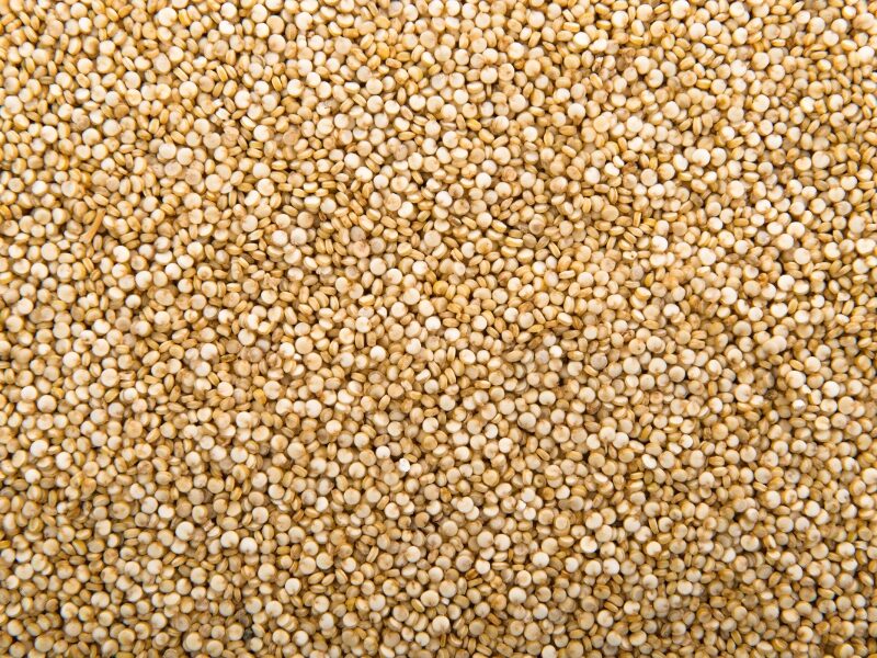 Top 10 Veg Protein Foods: Best Sources of Natural Protein for Your Diet 3 1 20250816 010023 0000