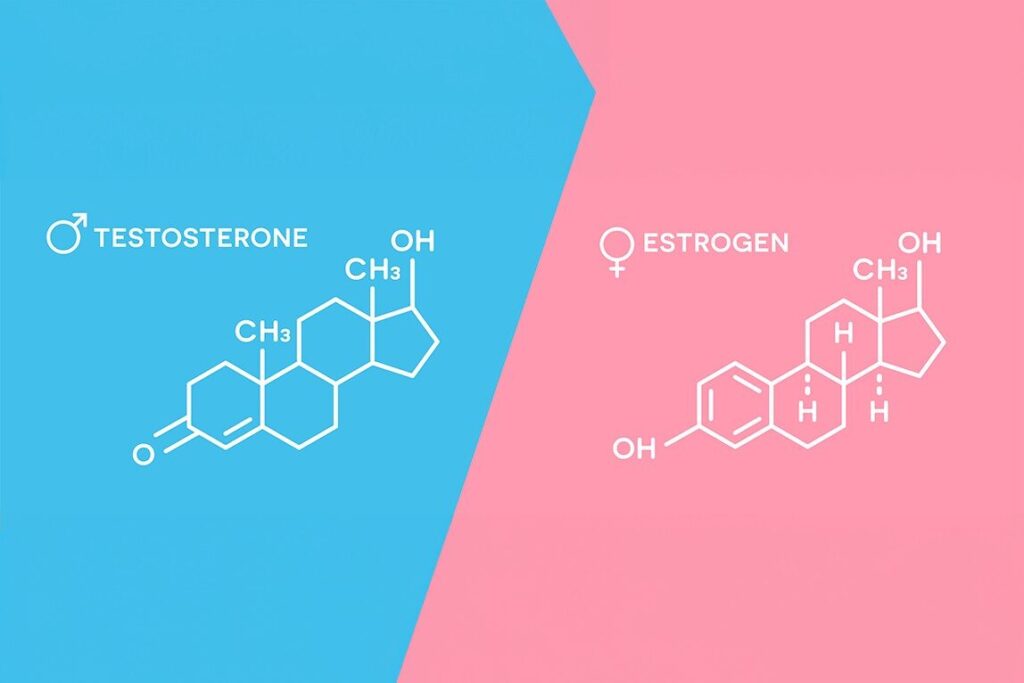 10 Effective Yoga Asanas for PCOD 1 An icon or flat illustration of hormone symbols like estrogen testosterone with balance scales