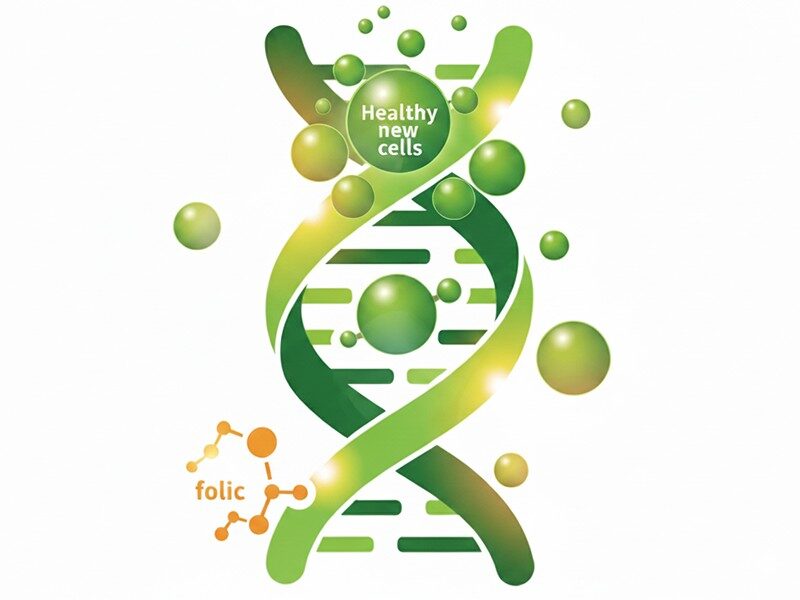 Do Vegans Need Supplements or Can Food Alone Be Enough? 5 Image 06