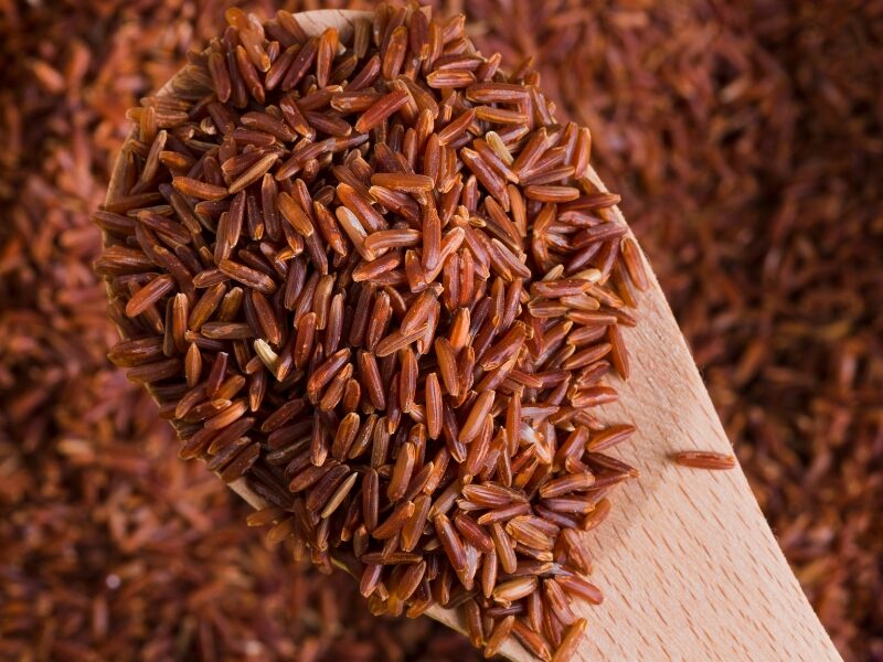 4 20251027 004901 0002