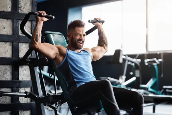 Chest Workouts