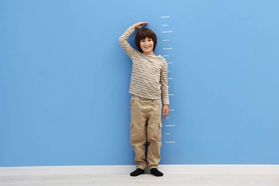 Exercises for Increasing Height