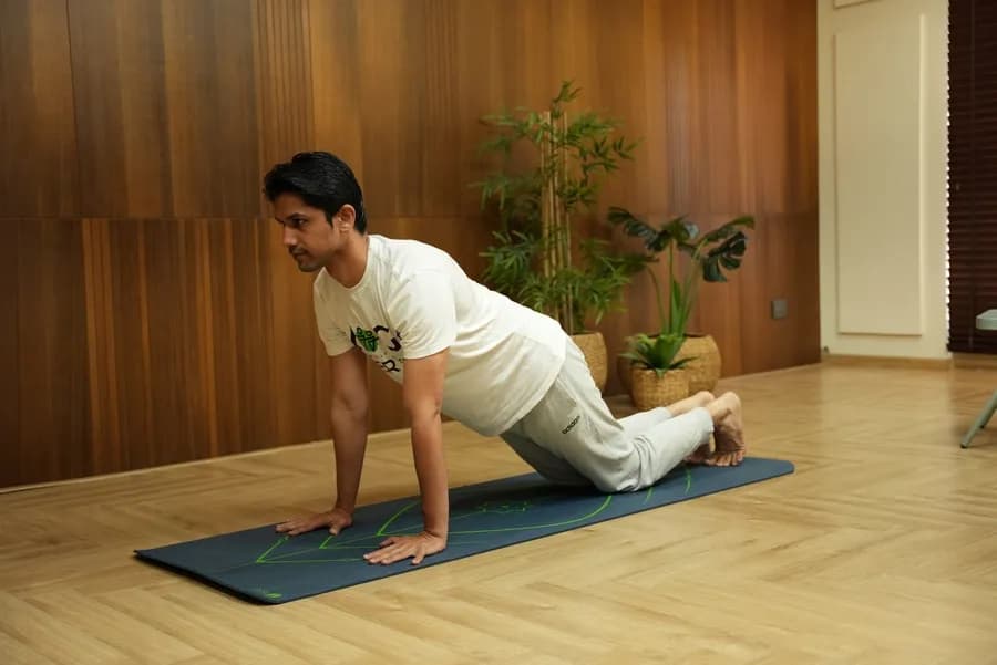 Marjariasana (Cat-Cow Pose) practice for spinal flexibility