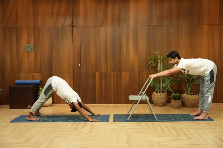 Adho Mukha Svanasana (Downward Dog) yoga pose