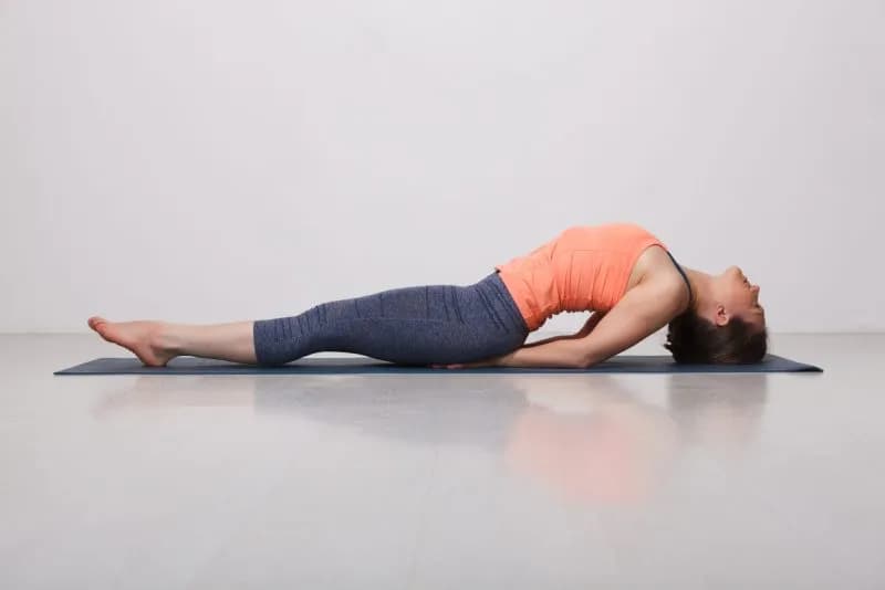 beautiful sporty fit yogi girl practices yoga asan 2026 01 05 05 43 38 utc 1