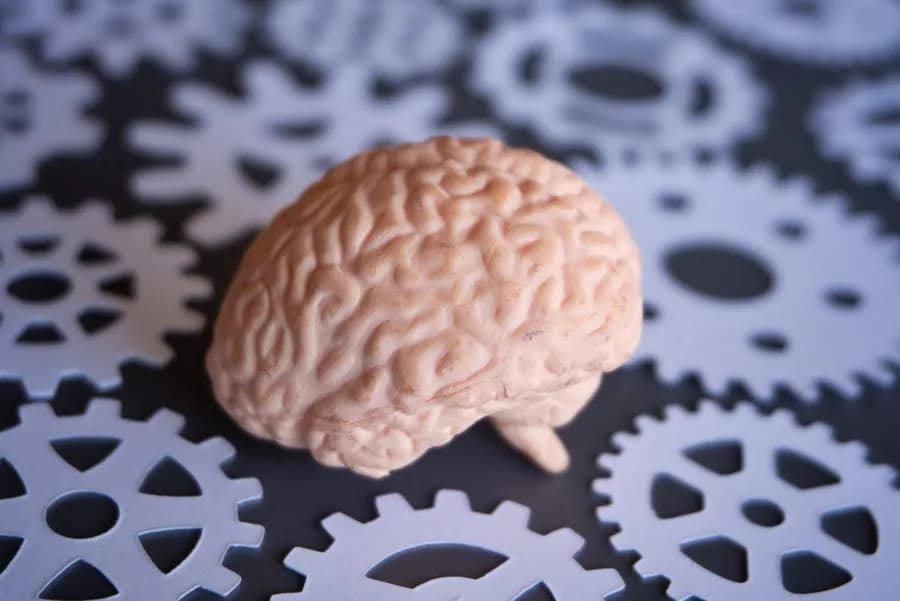 Brain Fitness Exercises: Sharpen Memory, Focus and Cognitive Health