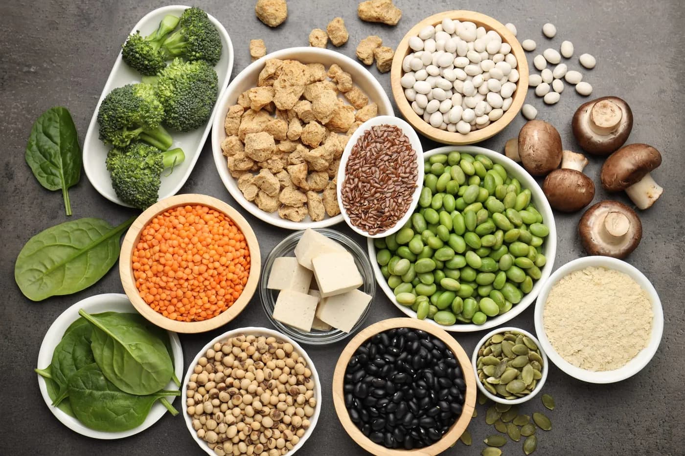 Daily protein intake: why your body needs protein every day