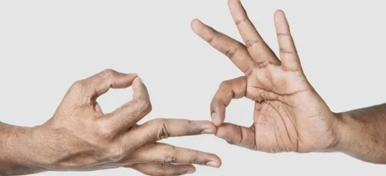 Hands forming the Dharma Chakra Mudra gesture at chest height