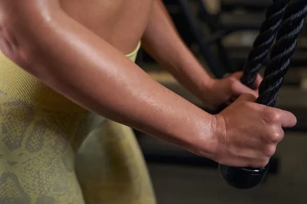 Forearms Workout
