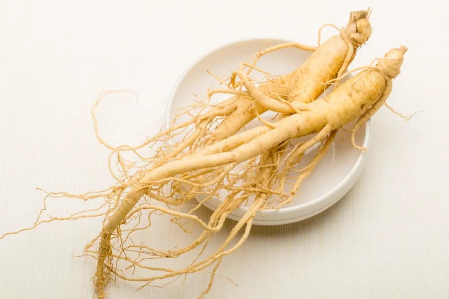 Ginseng benefits in the form of roots