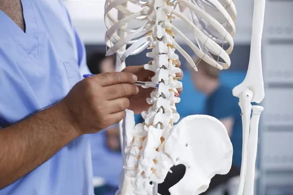 Yoga for Spinal Cord Health