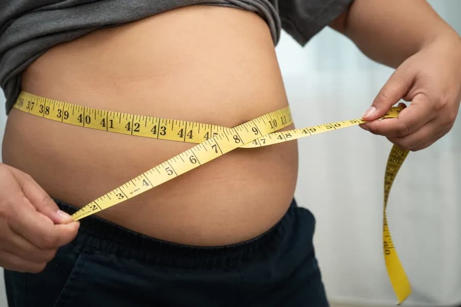 How to Lose Belly Fat — the Best Exercises, Honest Truth, and Daily Routine That Works