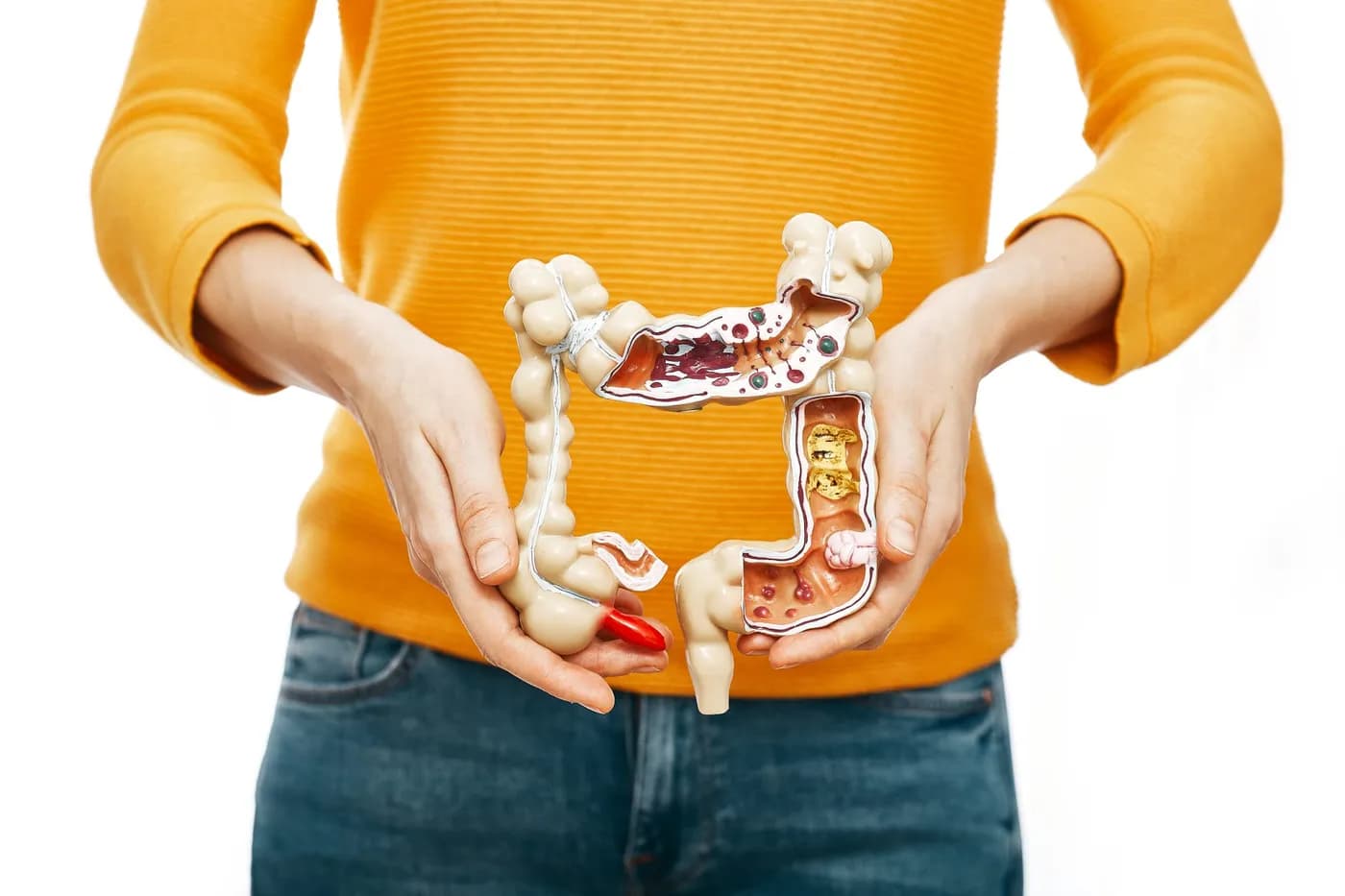 How to Make Digestive System Strong: A Practical Daily Guide