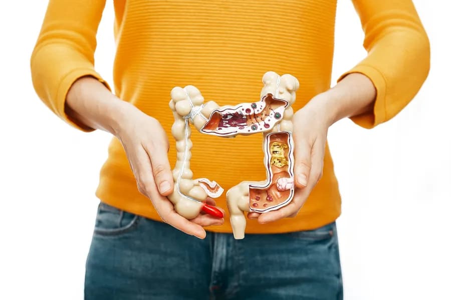 How to Make Digestive System Strong: A Practical Daily Guide