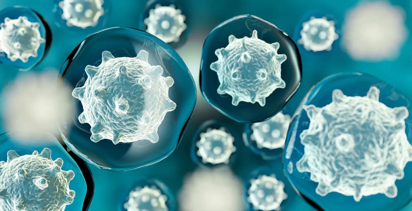 Close-up view of white blood cells against a blue background
