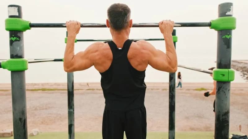 what muscles do pull ups work