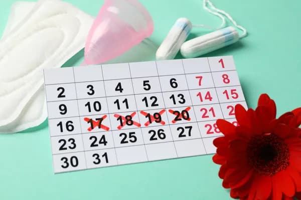 Exercise for Regular Periods: The Daily Routine That Actually Restores Cycle Regularity