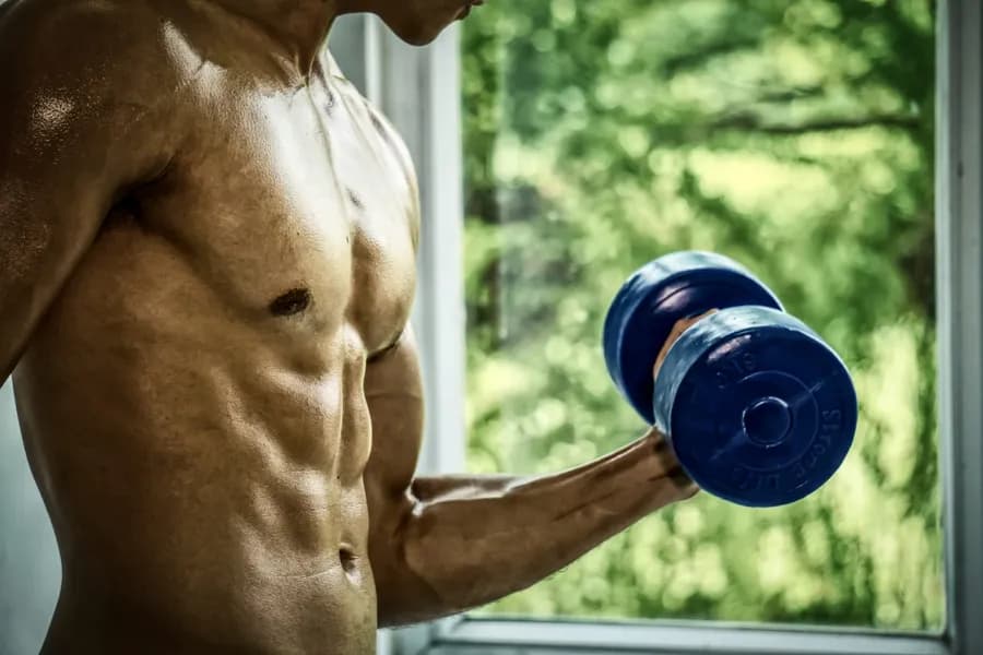 Toned man lifting a dumbbell by a window