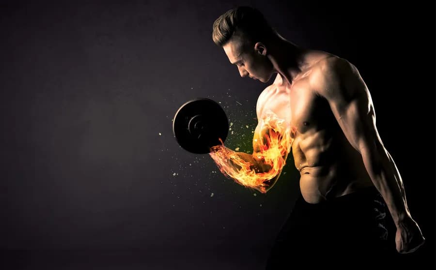 Muscular man lifting weight during a strength training session