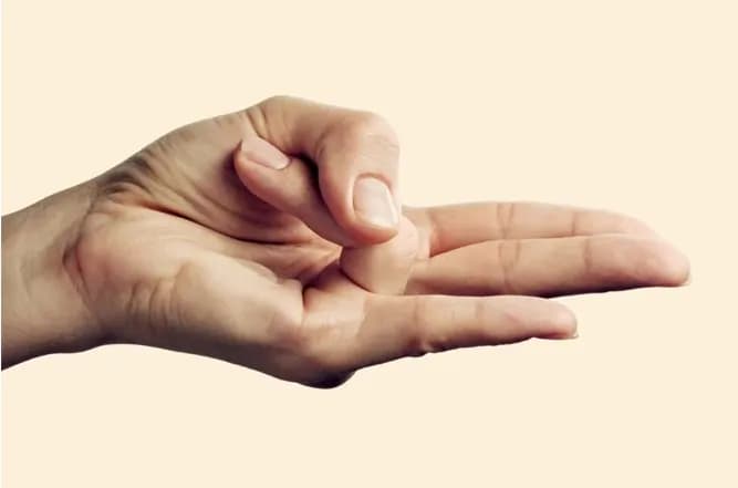 Surya Mudra hand gesture for boosting metabolism and weight management